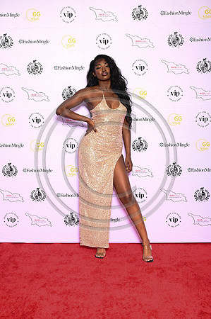 murphyphotography_geoinstlyegala2026_-357