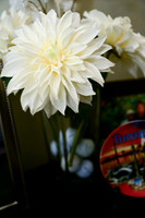 murphyphotography_Otis80thBDCelebration-113