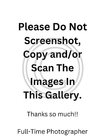 Do Not Screenshot 00114