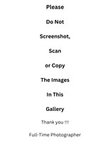 Plz Do Not Screenshot