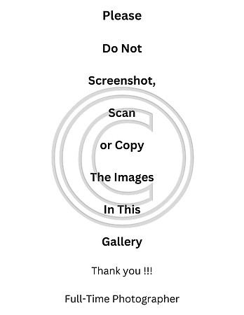 Plz Do Not Screenshot