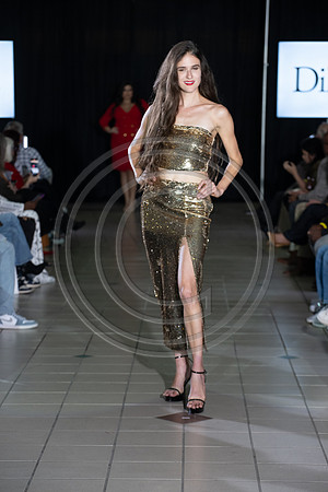 murphyphotography_spartanburgfashionweek_11-17-2024-337