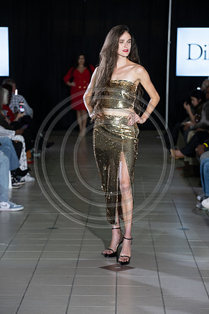 murphyphotography_spartanburgfashionweek_11-17-2024-336